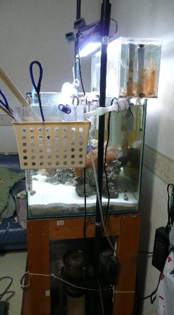 ライトスタンド自作 Ujun海水魚飼育